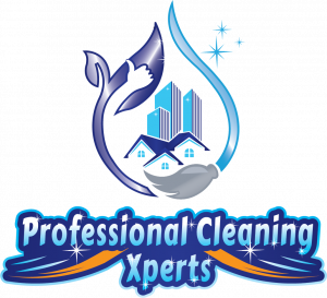 professional cleaning xperts logo